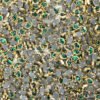 Dark Green Color