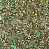 Dark Green Color