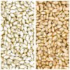 Gold & White Color 2 Size Combo